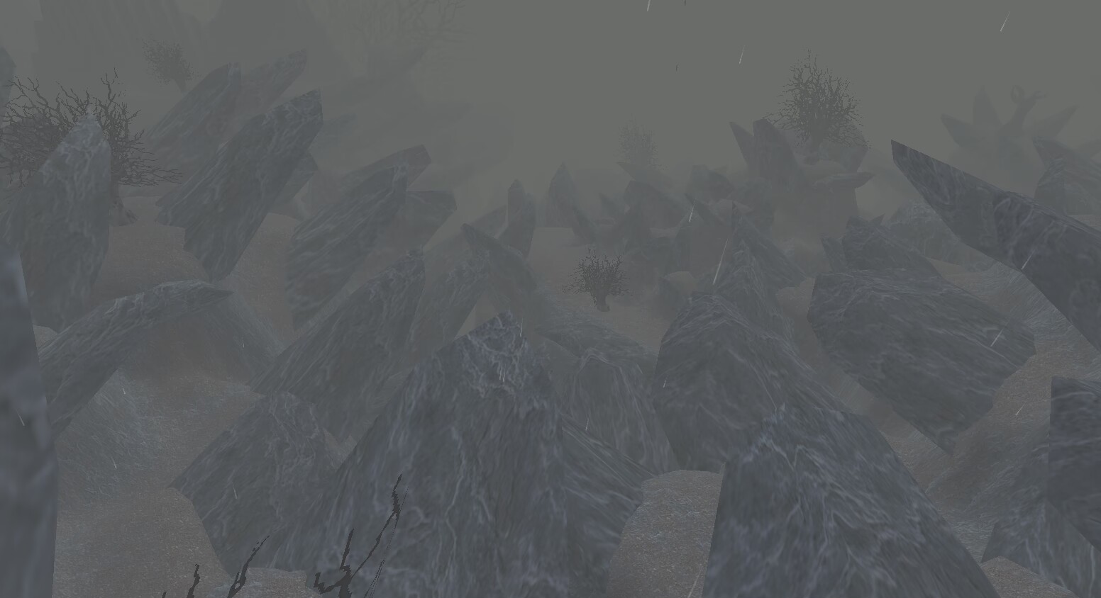 1000020789.jpg