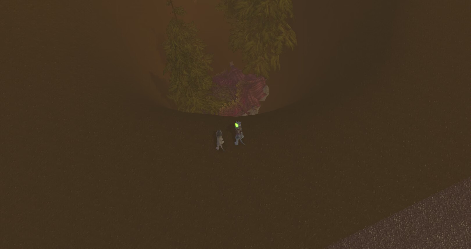 1000020912.jpg