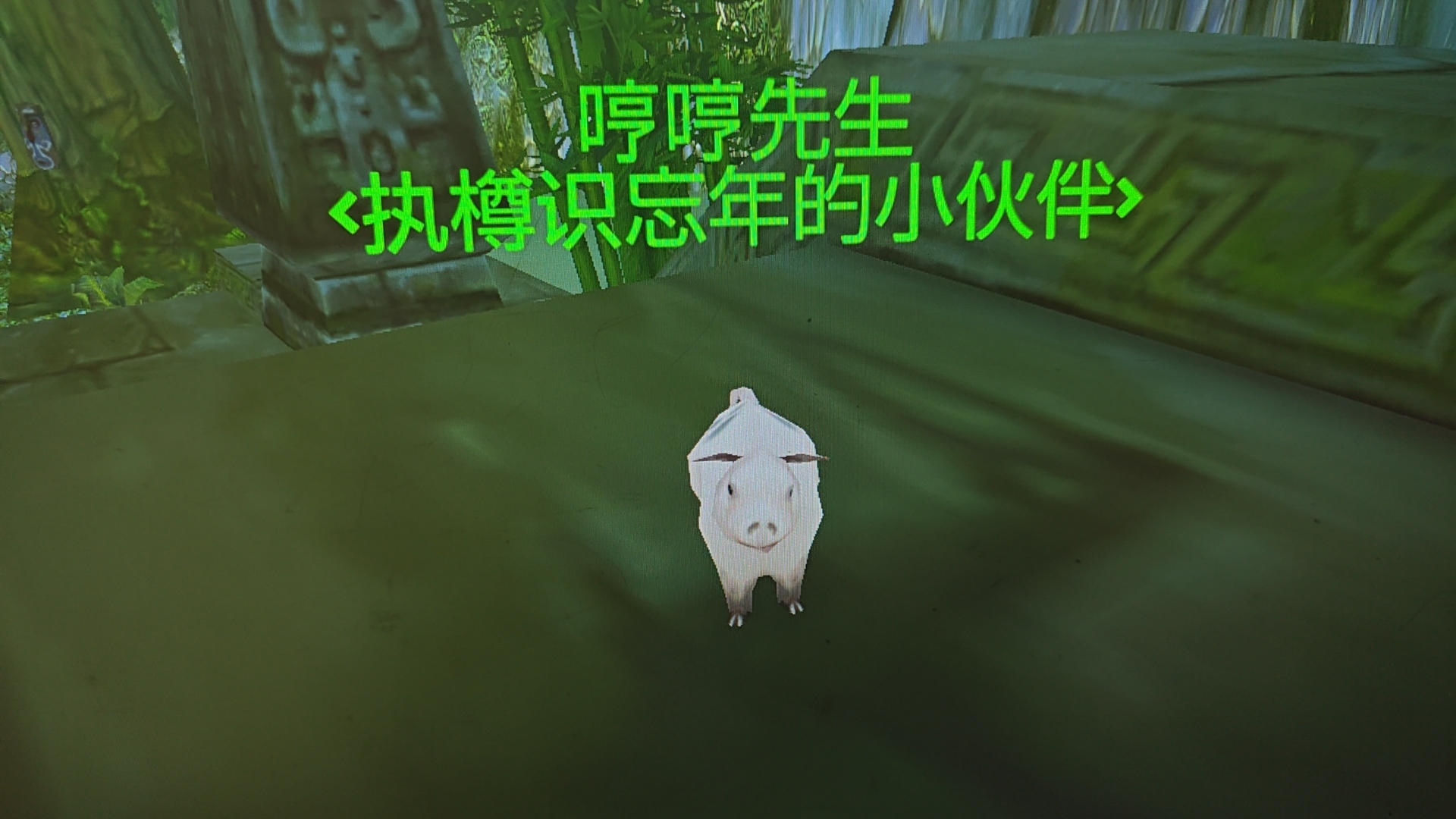 wx_camera_1715271644626.jpg